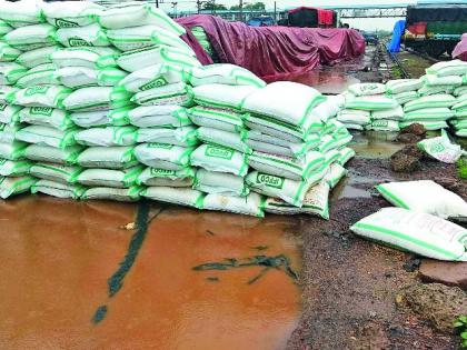 Hundreds of tons of fertilizer were found on the merchandise | मालधक्क्यावर शेकडो टन खत भिजले