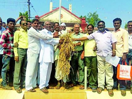 Provide 25 thousand acres of rice to the farmers | धान उत्पादकांना एकरी २५ हजारांची मदत करा