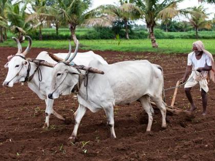 The steering committee will stay away from the strike | सुकाणू समिती संपापासून दूर राहणार