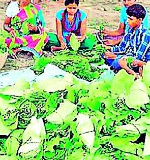 Tandupta business slowdown | तेंदूपत्ता व्यवसायावर मंदीचे सावट