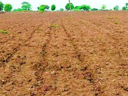 Crisis of double sowing in Chamorshi taluka | चामोर्शी तालुक्यात दुबार पेरणीचे संकट