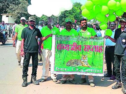 Wildlife conservation jagran rallies | रॅलीतून वन्यजीवांच्या रक्षणाचा जागर