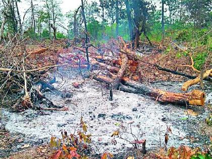 Burned wood with garbage | कचऱ्यासह लाकूड जळाले