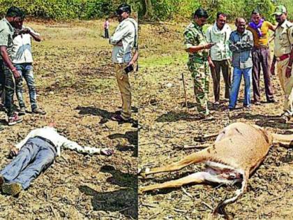 Youth and Nilgai killed by touching the power star | वीज तारेच्या स्पर्शाने युवक व नीलगाय ठार