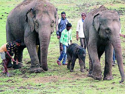 Technical sanction for tourism development | पर्यटन विकासाला तांत्रिक मंजुरीची आडकाठी