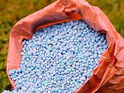 The black market of agricultural inputs will be kept out of the control room | कंट्राेल रूममधून राेखणार कृषी निविष्ठांचा काळाबाजार The black market of agricultural inputs will be kept out of the control room | कंट्राेल रूममधून राेखणार कृषी निविष्ठांचा काळाबाजार