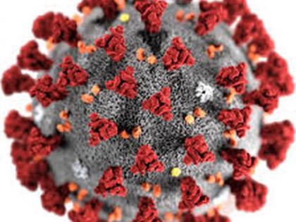Again six corona-infected corona-free | पुन्हा सहा कोरोना बाधीत कोरोनामुक्त Again six corona-infected corona-free | पुन्हा सहा कोरोना बाधीत कोरोनामुक्त