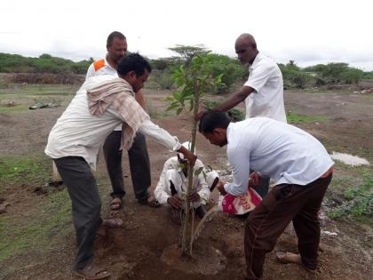 Mauli's chanting memory through tree plantation, unique project alive | स्मशानभूमीत वृक्षारोपण, जिंतीत अनोखा उपक्रम, माउलीच्या जपल्या स्मृती