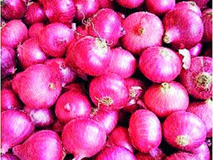 Onion producers are upset by the decision to ban export | निर्यातबंदीच्या निर्णयामुळे कांदा उत्पादकांमध्ये अस्वस्थता