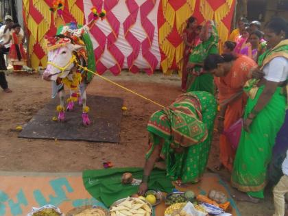 Unique type of burly, cows meal in the presence of 200 women | गाईचे डोहाळे जेवण २०० महिलांच्या उपस्थितीत, बुर्लीमध्ये अनोखा प्रकार