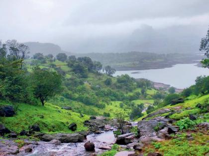 nsk,igatpuri,except,peth,other,talukas,dryade | इगतपुरी, पेठ वगळता अन्य तालुके कोरडेच