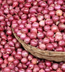 Onion growers came to the village to buy | कांदा उत्पादक गावावर आली खरेदीची आफत