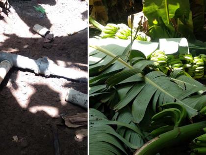 Damage to banana crop and agricultural inputs | केळी पीक व शेतीपयोगी साहित्याचे नुकसान