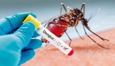 Fear of dengue and malaria along with corona in Navapur taluka | नवापूर तालुक्यात कोरोनासह डेंग्यू व मलेरियाचीही भिती Fear of dengue and malaria along with corona in Navapur taluka | नवापूर तालुक्यात कोरोनासह डेंग्यू व मलेरियाचीही भिती