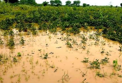 Funk of Rs 16.5 crore on excess rain damage | अतिवृष्टीच्या नुकसानीवर साडेसोळा कोटींची फुंकर