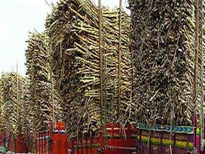 Sugarcane sludge speeds in the Satpuda sugar mill | सातपुडा साखर कारखान्यात ऊस गाळपास गती