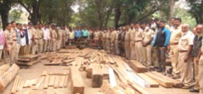 Illegal timber seized from Navapur taluka | नवापूर तालुक्यातून अवैध लाकूड जप्त