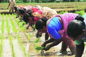 Pesticide handling training for women farmers at Atakwade | आटकवडे येथे महिला शेतकऱ्यांना कीटकनाशक हाताळणीचे प्रशिक्षण