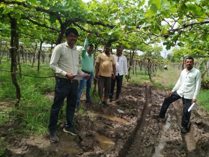   Monitoring of agricultural losses, Panchanam | शेतीच्या नुकसानीची पाहणी, पंचनामे