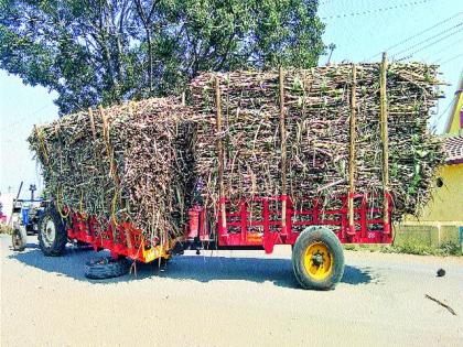 Illegal sugarcane transportation continues | बेकायदेशीर ऊस वाहतूक सुरूच