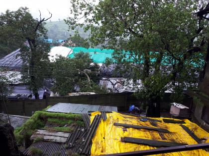 The tree fell on the tabernacle of Trimbakeshwar temple | त्र्यंबकेश्वर देवस्थानच्या मंडपावर झाड कोसळले