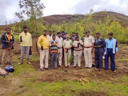 3 lakh 61 thousand plantations done by the Social Forestry Department | सामाजिक वनीकरण विभागामार्फत करणार ३ लाख ६१ हजार वृक्षारोपण