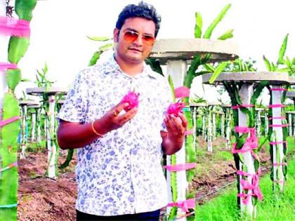 वर्ध्यात बहरली विदेशी ‘ड्रॅगन फ्रुट’ची शेती