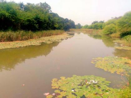  Deepen and smooth the Bor river | बोर नदीचे खोलीकरण व सरळीकरण करा