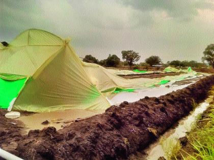  Monsoon strikes; Sinnar, Windy Rain in Yeola | मान्सूनपूर्व तडाखा; सिन्नर, येवल्यात वादळी पाऊस