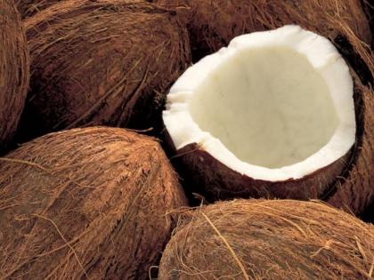 World Coconut Day; Learn some fun things about coconut .. | जागतिक नारळ दिन; जाणून घ्या नारळाबाबतच्या काही मजेशीर बाबी..