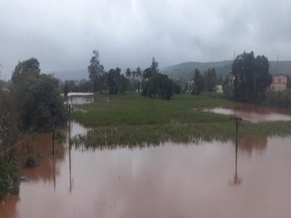 the rains do not stop, the agriculture is ruined In Kolhapur district | Kolhapur: पाऊस काही थांबेना.. शेतीचे पंचनामे होईना