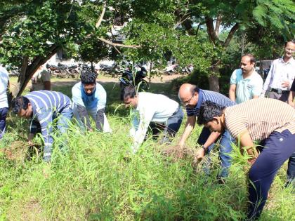 Shivaji University campus is dazzling due to its cleanliness drive | स्वच्छता अभियानामुळे शिवाजी विद्यापीठाचा परिसर चकाचक