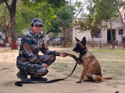 'बेल्जी' श्वानाने लावला पहिला वन गुन्ह्याचा छडा, ‘बेल्जियन शेफर्ड’ जातीच्या श्वानासोबत डॉग ट्रेनर सारिका जाधव यांची कामगिरी 'बेल्जी' श्वानाने लावला पहिला वन गुन्ह्याचा छडा, ‘बेल्जियन शेफर्ड’ जातीच्या श्वानासोबत डॉग ट्रेनर सारिका जाधव यांची कामगिरी