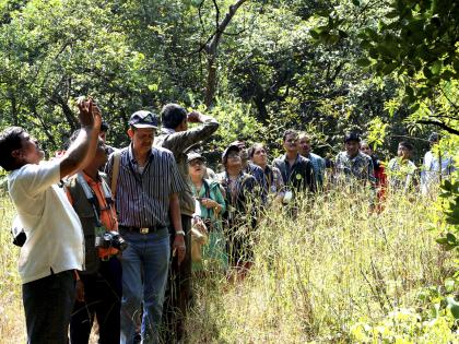 Experiencing stress on conservation | संवर्धनात्मकतेवर भर देणारी अनुभुती