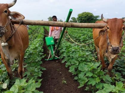 Fertilizer sowing machine made by a farmer at home! | शेतकऱ्याने घरीच बनविले खत पेरणी यंंत्र!