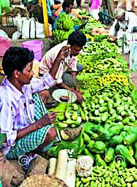 Farmer's plan to strike! | शेतकरीपूरक योजनेला हरताळ !