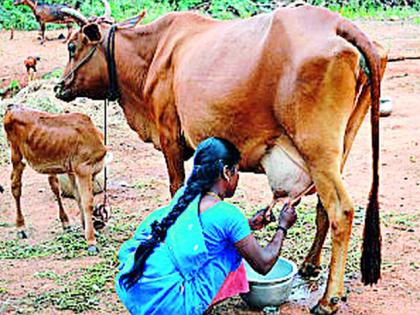 The economic level of the farmers to increase through enhanced campaign | उन्नत अभियानाद्वारे उंचावणार शेतकऱ्यांचा आर्थिक स्तर