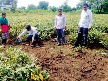 Farmers in crisis due to ravens | रानडुकरांमुळे शेतकरी संकटात