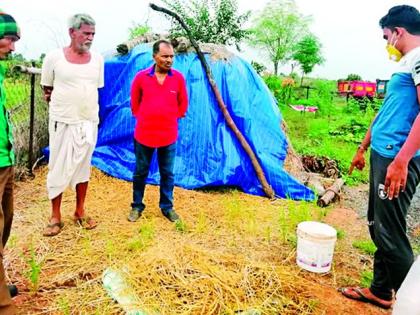 There was an increase in milk with urea-mixed animal feed | युरियामिश्रीत पशुखाद्याने होते दुधात वाढ