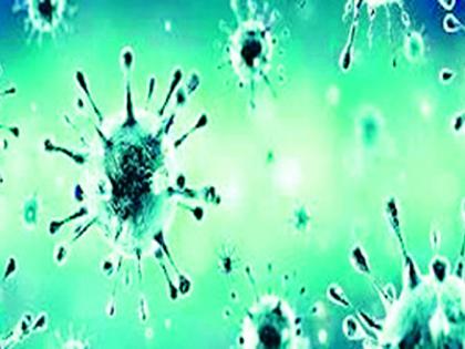 Out of 495 samples in the district, 406 samples were reported negative | जिल्ह्यातील ४९५ पैकी ४०६ नमुन्यांचे अहवाल निगेटिव्ह