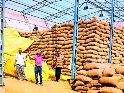 Purchase of Merchants' Chury at Base Center | आधारभूत केंद्रावर होतेय व्यापाऱ्यांच्या धानाची खरेदी Purchase of Merchants' Chury at Base Center | आधारभूत केंद्रावर होतेय व्यापाऱ्यांच्या धानाची खरेदी