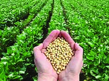 Summer soybean quantity on seed shortage | बियाणे टंचाईवर उन्हाळी सोयाबीनची मात्रा