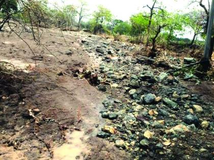 In the Buldana district, flood water caused the loss of one and half thousand hectares of land | बुलडाणा जिल्ह्यात पुराच्या पाण्यामुळे दीड हजार हेक्टर जमीन खरडली