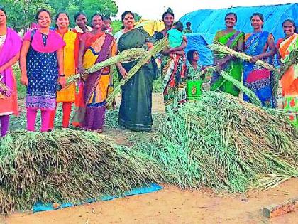  Two trucks in Gadchiroli reach broom in Nagpur | गडचिरोलीचा दोन ट्रक झाडू पोहोचला नागपुरात