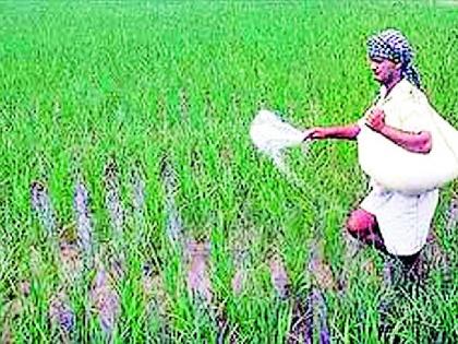 The price of fertilizers increased by 25 percent | खतांच्या किमतीत २५ टक्यांनी वाढ