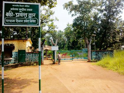 Saheb, start the Bucky Gate! | साहेब, बकी गेट सुरू करा!