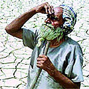 In the three talukas, medium-sized drought is declared | तीन तालुक्यात मध्यम स्वरुपाचा दुष्काळ जाहीर