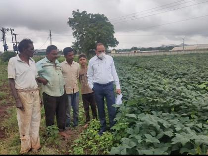 Confusion in the minds of soybean growers | सोयाबीन उत्पादक शेतकऱ्यांच्या मनात संभ्रम