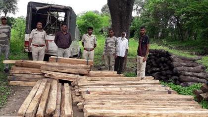 One and a half lakh teak wood seized at Bhusha | सव्वा लाखाचे सागवानी लाकूड भूषा येथे जप्त One and a half lakh teak wood seized at Bhusha | सव्वा लाखाचे सागवानी लाकूड भूषा येथे जप्त
