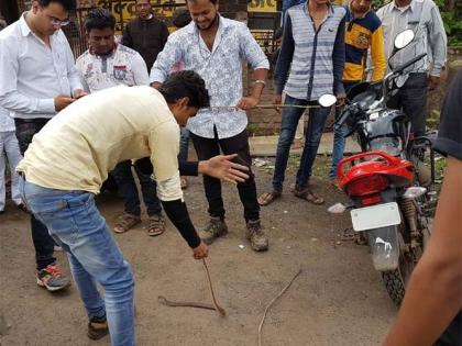 Bamboo of the farmer after running a snake bicycle | चालत्या दुचाकीतून साप निघाल्याने शेतकºयाची भंबेरी